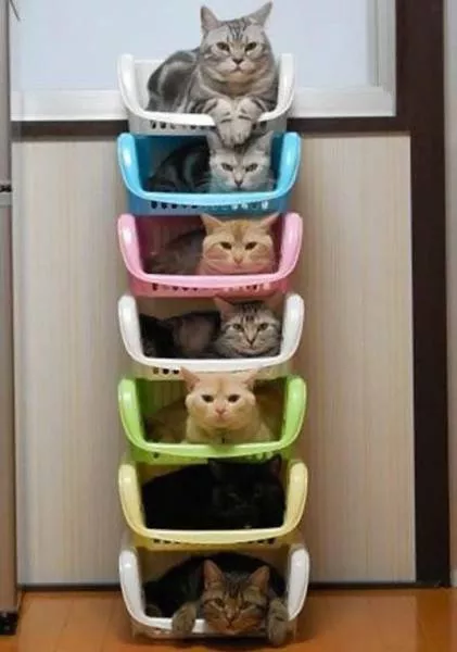 Picdump 184 - #19 