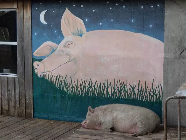 Picdump 184