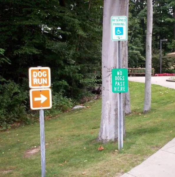Picdump 184 - #26 