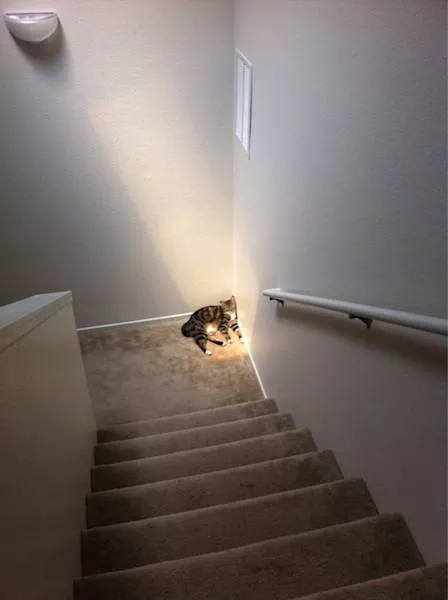 Picdump 184 - #33 