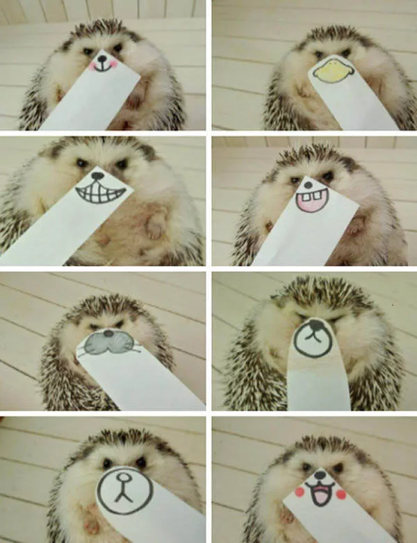 Picdump 184 - #44 