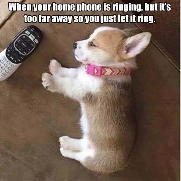 Picdump 184 - #46 