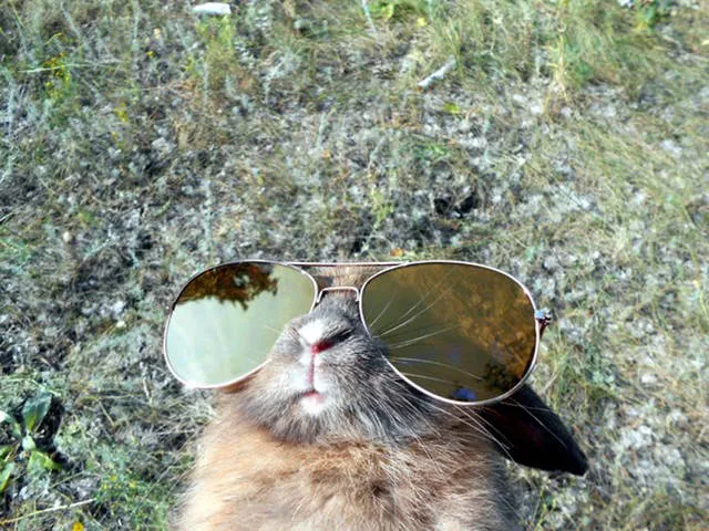 Picdump 185 - #13 