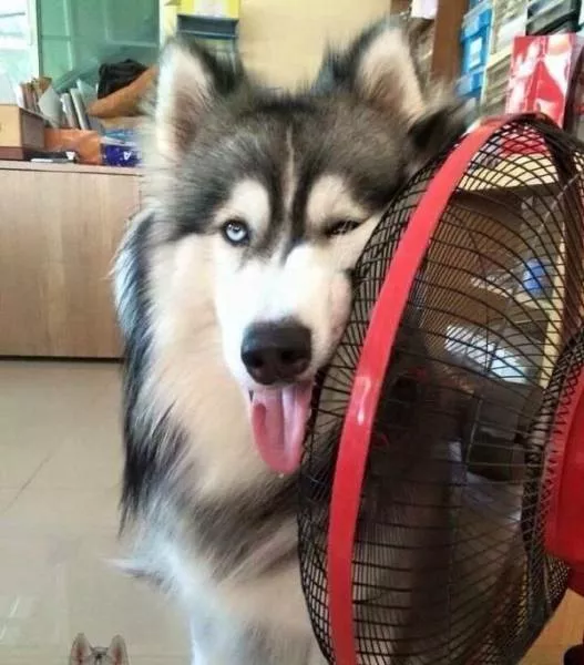 Picdump 185 - #15 