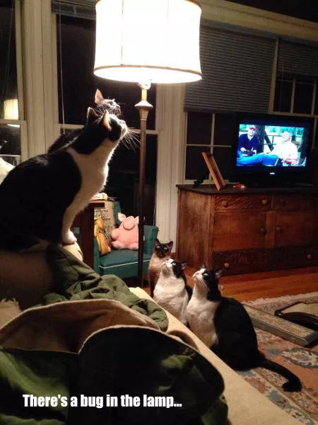 Picdump 185 - #48 
