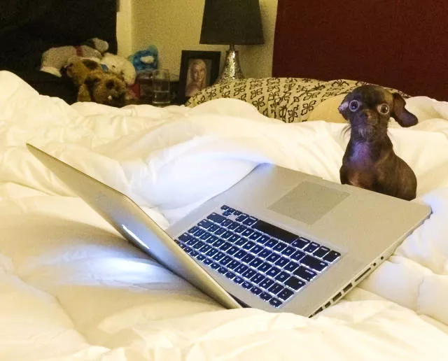Picdump 185 - #63 