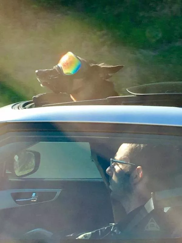 Picdump 185 - #68 