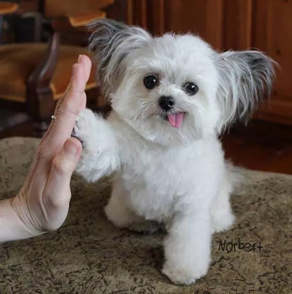 Picdump 185 - #69 