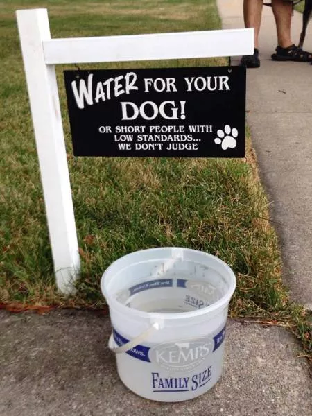 Picdump 185 - #88 