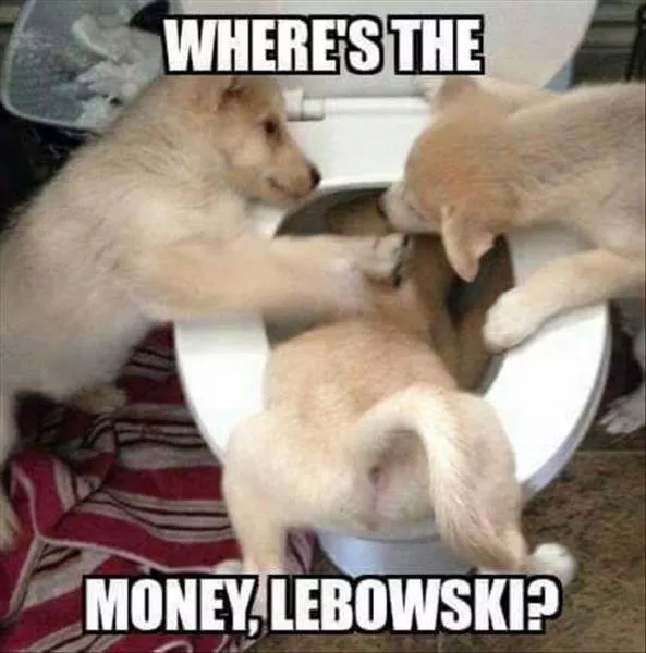 Picdump 185 - #89 