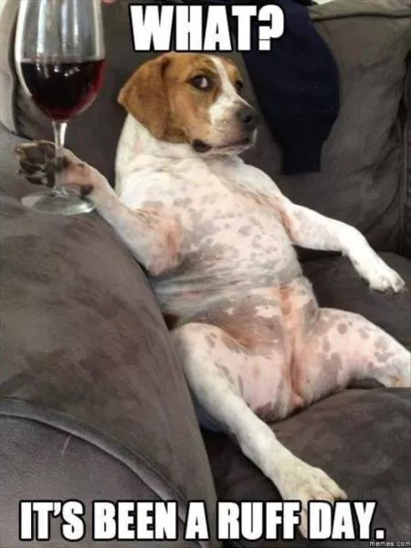Picdump 185 - #90 