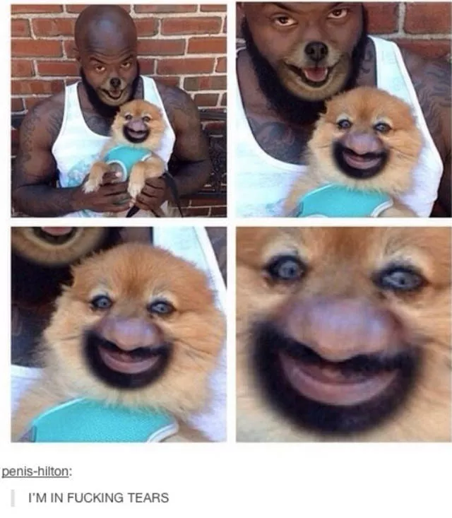 Some of lowbrow humor - #5 