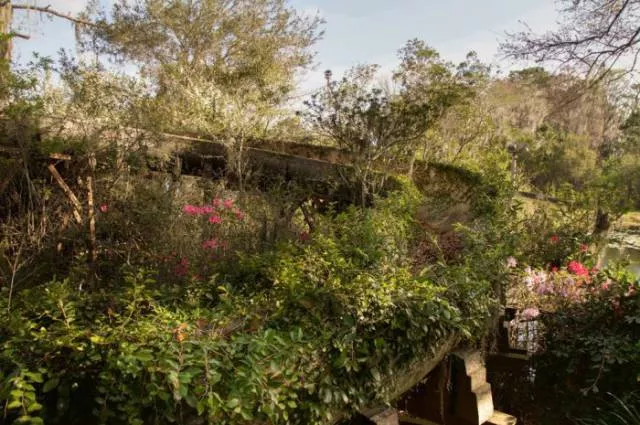 The abandoned disney water park since 2005 - #10 
