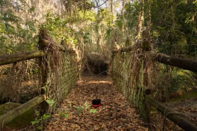 The abandoned disney water park since 2005