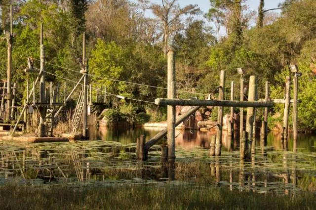 The abandoned disney water park since 2005 - #14 