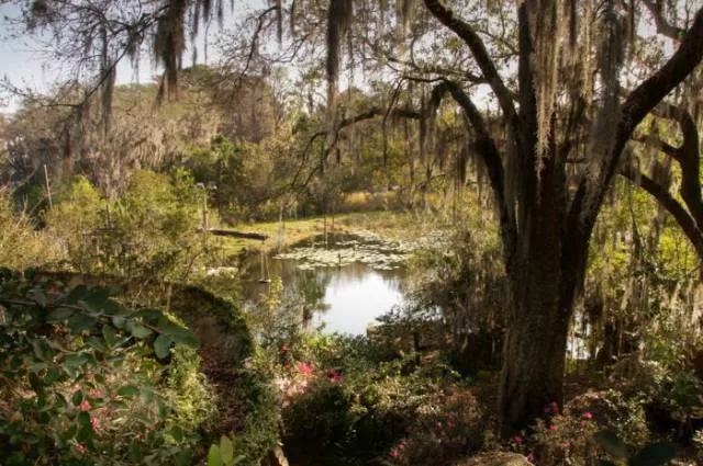 The abandoned disney water park since 2005 - #16 