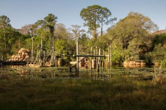 The abandoned disney water park since 2005 - #4 