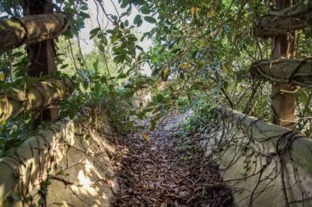 The abandoned disney water park since 2005 - #5 