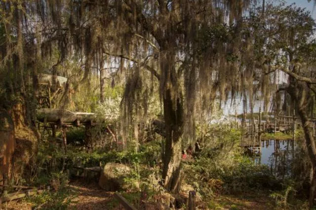 The abandoned disney water park since 2005 - #6 