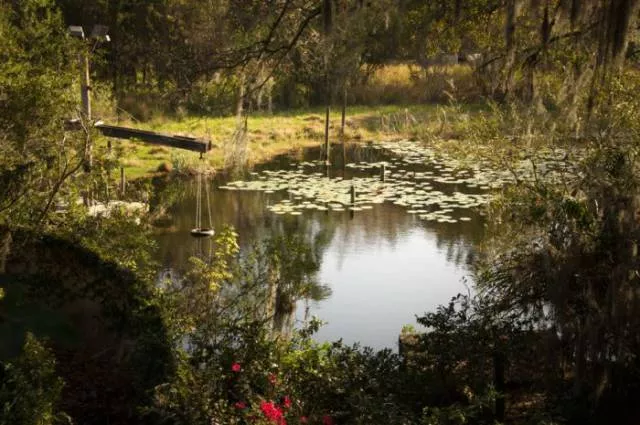 The abandoned disney water park since 2005 - #7 
