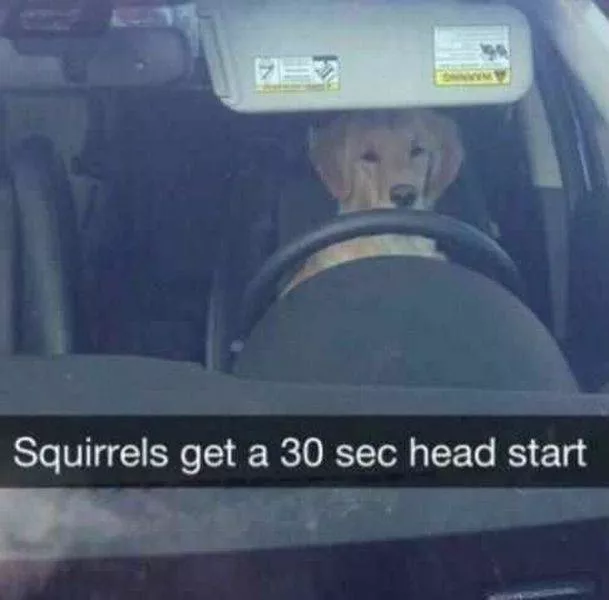 Picdump 186 - #16 