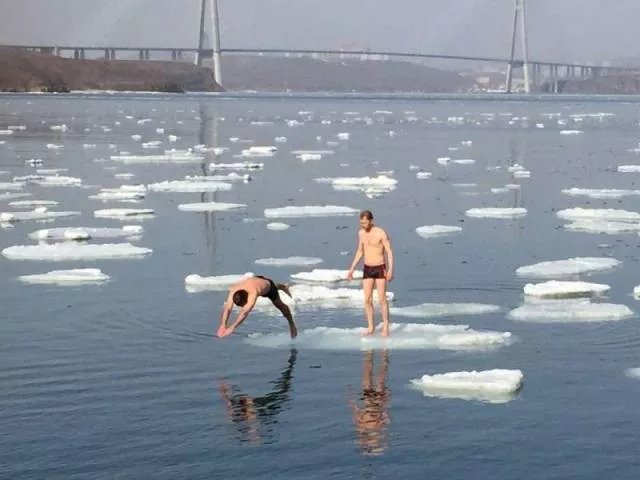 Picdump 186 - #34 