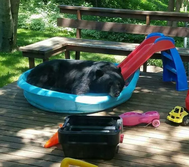 Picdump 186 - #48 