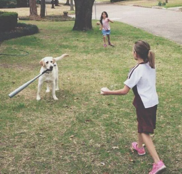 Picdump 186 - #59 