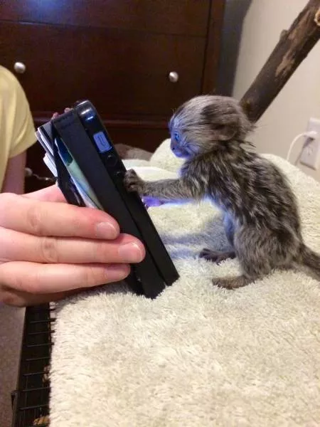 Picdump 186 - #81 
