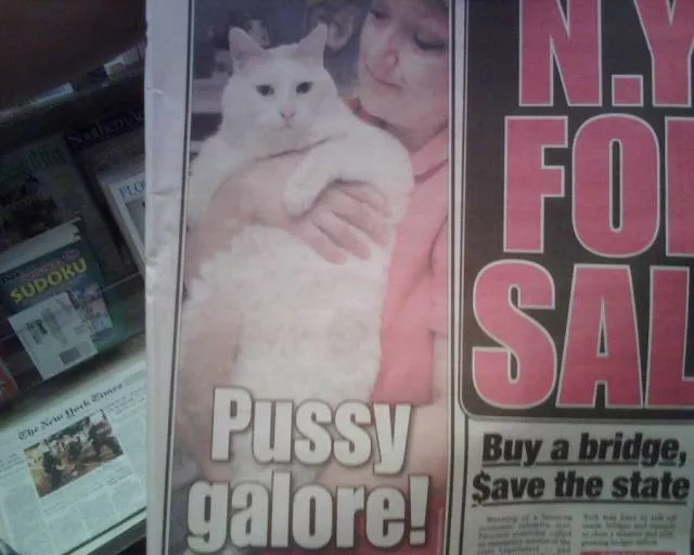 Picdump 186 - #85 