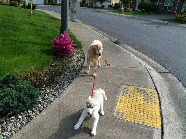 Picdump 186 - #90 