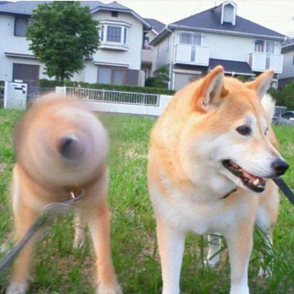 Picdump 186 - #92 