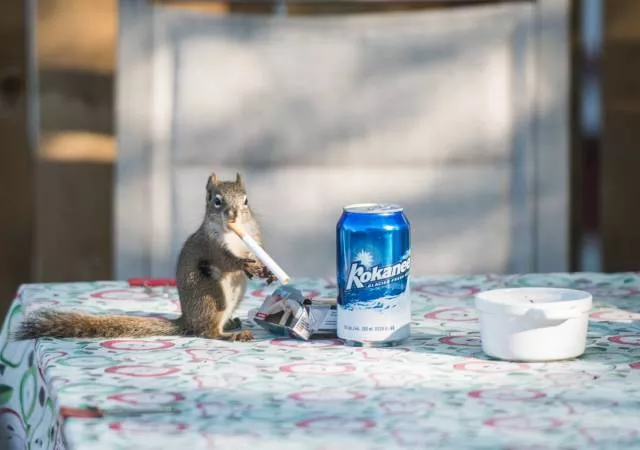 Picdump 187 - #71 