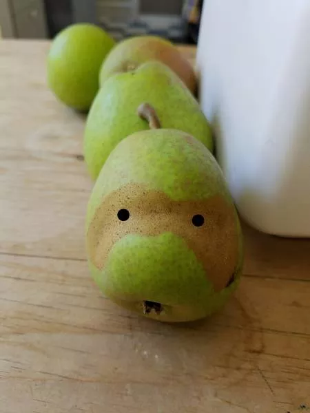 Picdump 187 - #78 