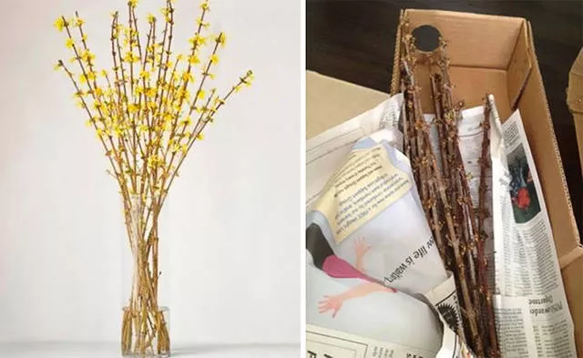 Shopping online can ruin all your expectations - #20 