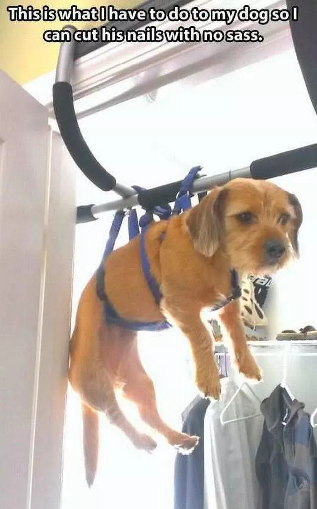 Picdump 188 - #12 