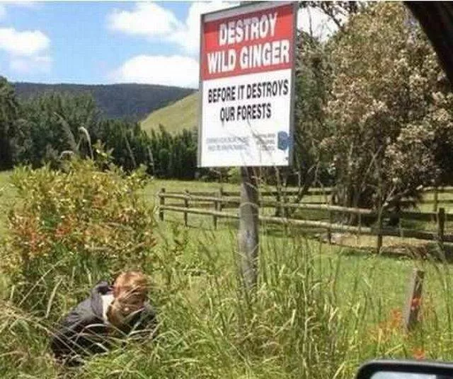 Picdump 188 - #23 