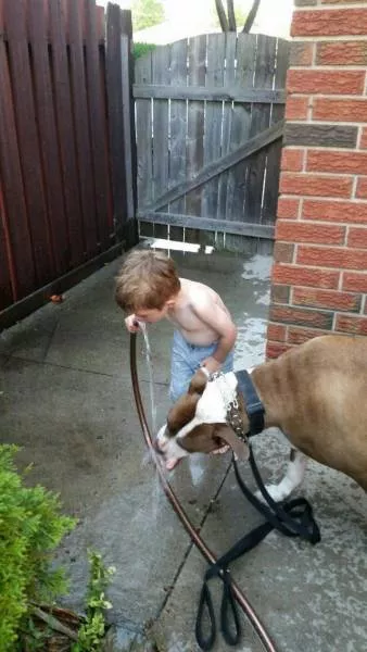 Picdump 188 - #34 