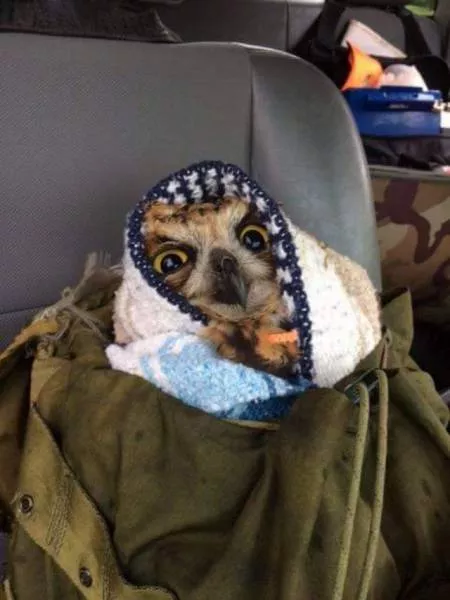 Picdump 188 - #39 
