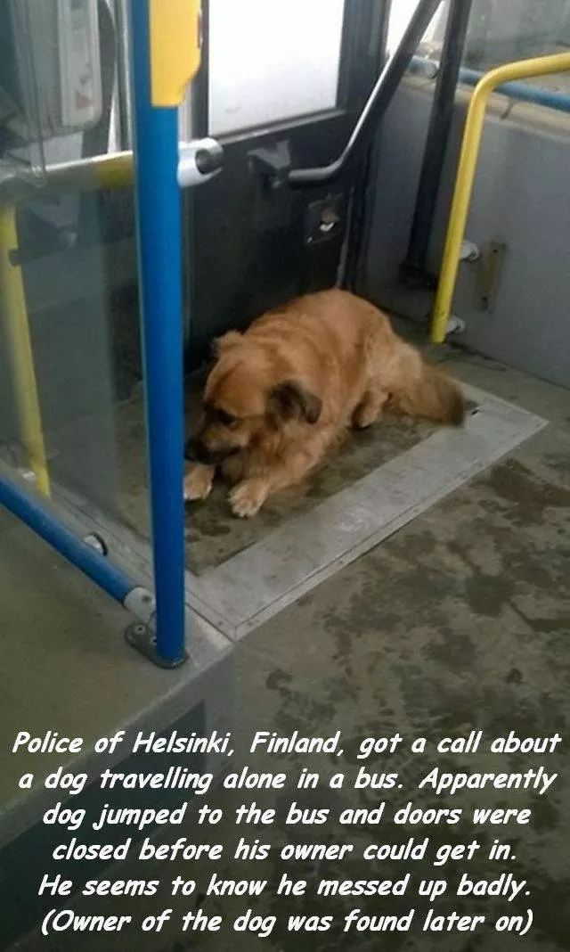 Picdump 188 - #4 