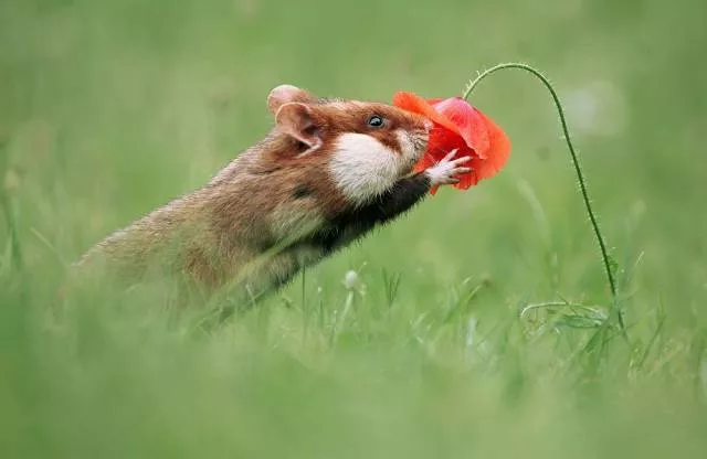 Picdump 188 - #45 