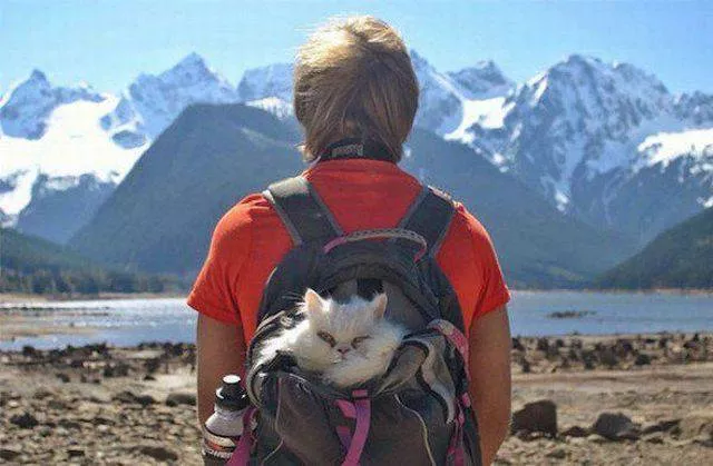 Picdump 188 - #46 