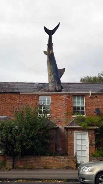 Picdump 188 - #59 