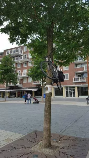 Picdump 189 - #20 