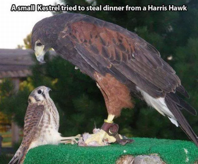 Picdump 189 - #22 
