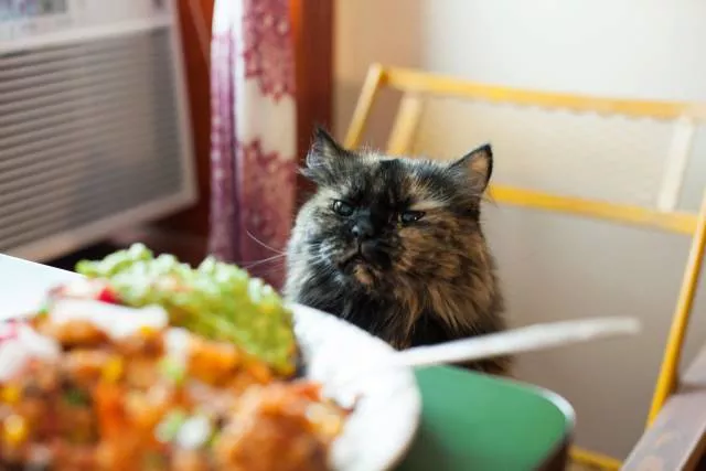 Picdump 189 - #39 