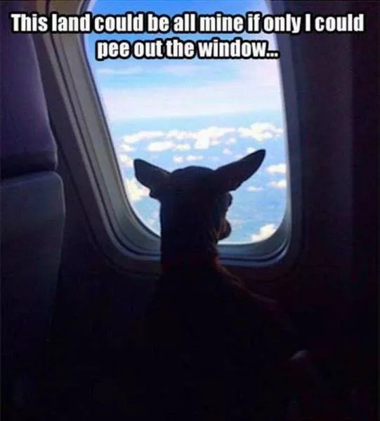Picdump 189 - #43 