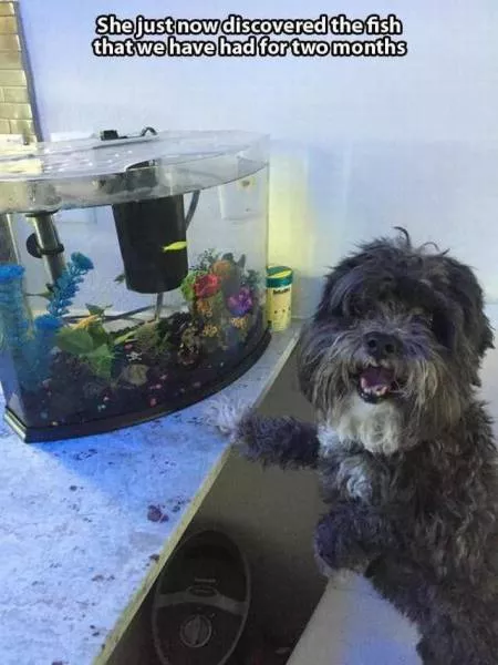 Picdump 189 - #53 