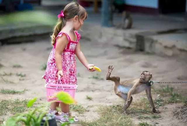 Picdump 189 - #54 