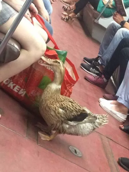 Picdump 189 - #55 